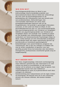 Vacature Psychologenpraktijk Maas en Waal